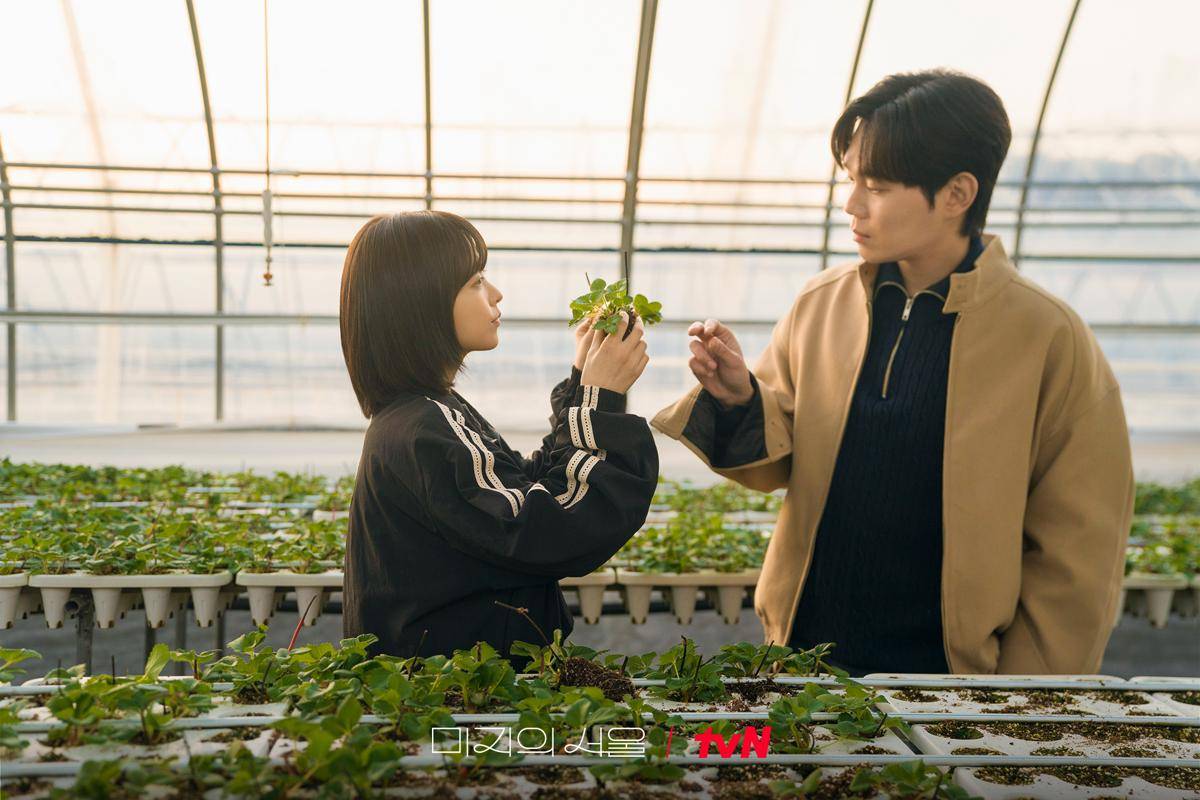 Mi Rae dan Se Jin saat memelihara kebun stroberi mereka. (x.com/CJnDrama)